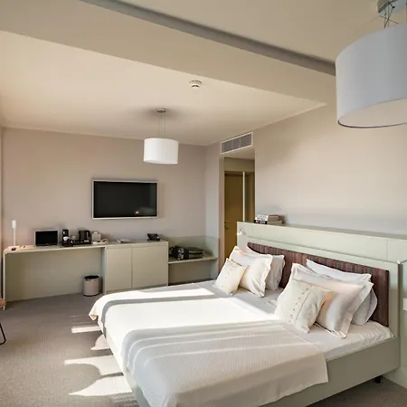 Hotel Millennium Hub & 4*